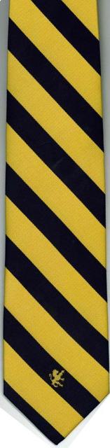 Providence Academy - Neck Tie - Regular - Navy & Gold Stripes with Logo